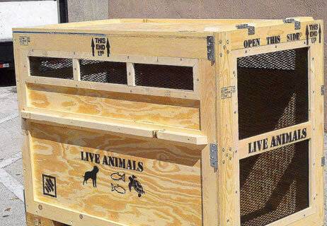 Specialty shipping crates Living Cargo