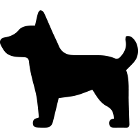 Image for choice number 2